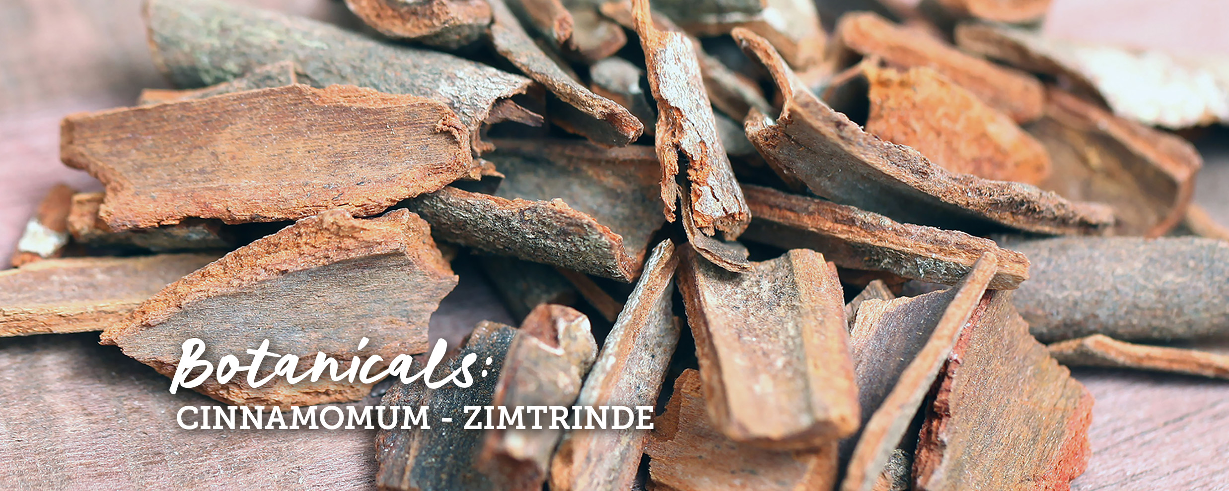 botanicals-zimtrinde